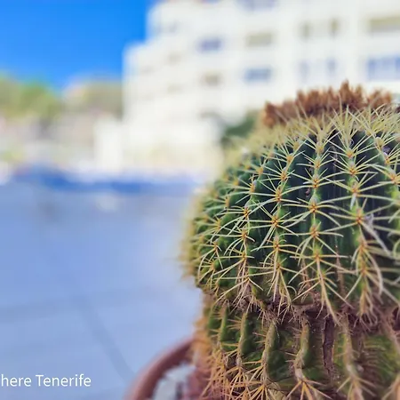 דירה Mona's Point Tenerife - Aircon, Private Parking And Heated Pool *